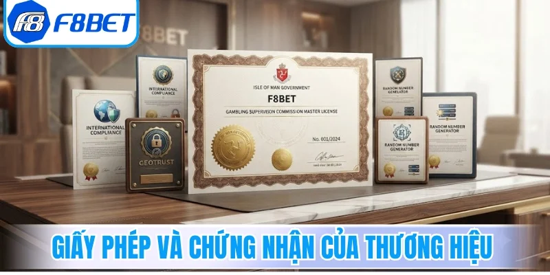 Bộ giấy phép và chứng nhận quyền lực của thương hiệu