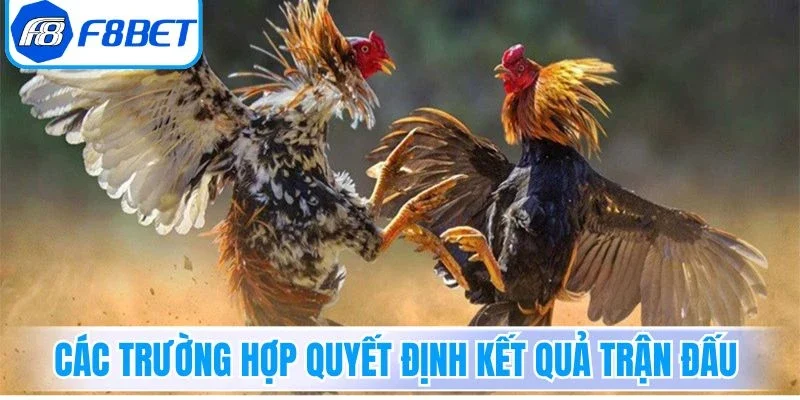 Các trường hợp quyết định kết quả trận đấu