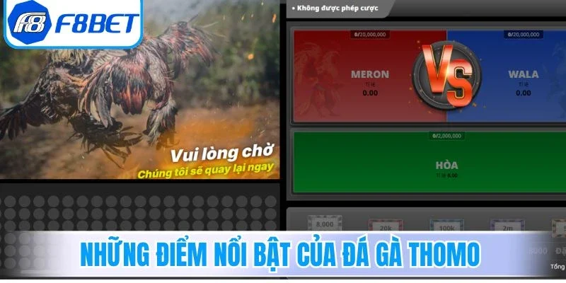 Khái quát những điểm nổi bật của đá gà Thomo