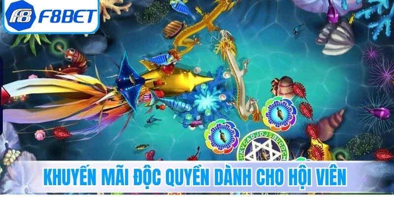 Khuyến mãi độc quyền dành cho hội viên săn cá