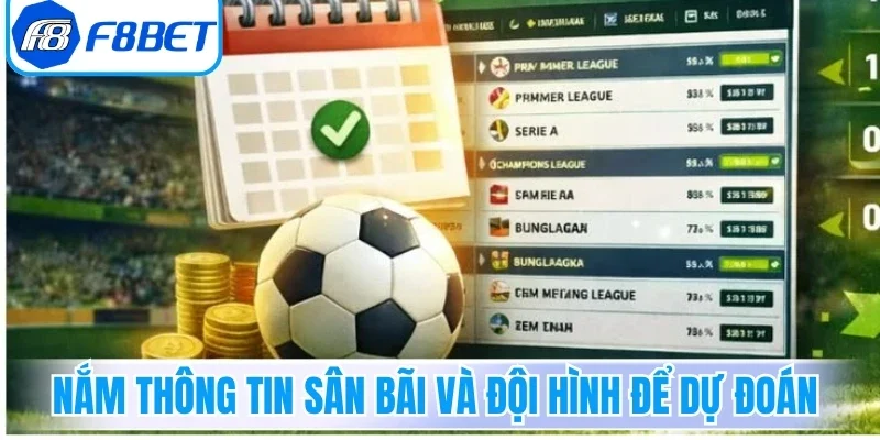 Cược Tỉ Số F8bet - Bí Quyết Giúp Nâng Cao Tỷ Lệ Thắng 5 Nắm thông tin sân bãi và đội hình để dự đoán