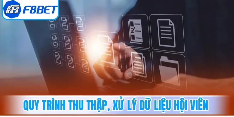 Quy trình thu thập, xử lý dữ liệu hội viên